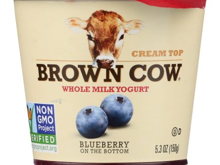 YOGURT BROWN COW BLUEBERRY WHOLE MILK   5.3 OZ   088194340034 on Sale