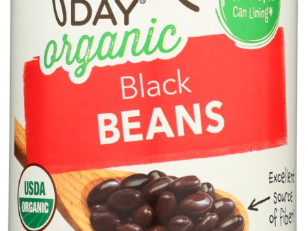 BEANS FIELD DAY BLACK     042563600006 Online Hot Sale