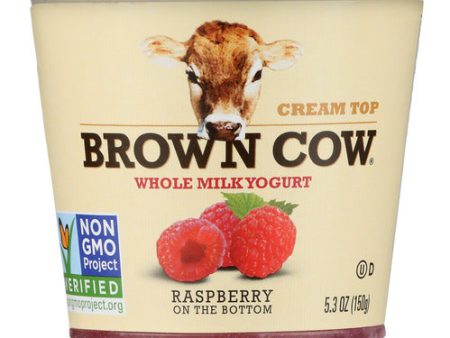 YOGURT BROWN COW RASPBERRY WHOLE MILK   5.3 OZ   088194340072 For Discount