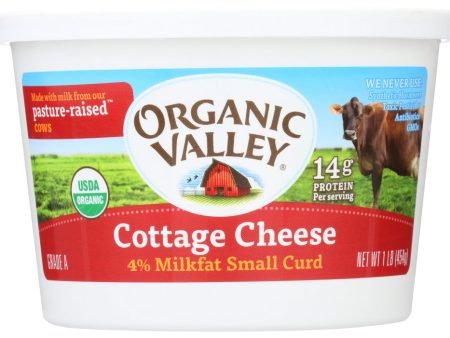 COTTAGE CHEESE ORGANIC VALLEY ORGANIC 4%   16 OZ   093966002034 Supply