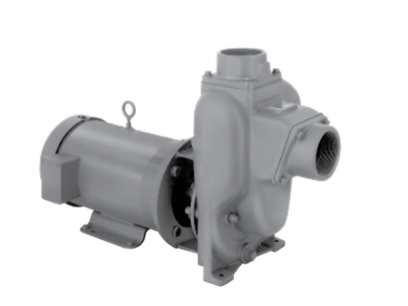 MP Pumps - 2  x 2  Self-Priming Petroleum Pump Online Sale