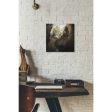 The Empire  by Jonathan Lam, Canvas Wall Art on Sale