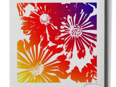 Floral Brights II  by James Burghardt Giclee Canvas Wall Art Cheap