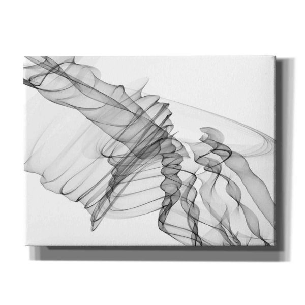 Abstract Black and White 19-22-36  by Irena Orlov, Canvas Wall Art Online Sale