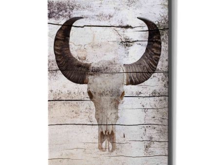 Bullock Skull  by Irena Orlov, Canvas Wall Art on Sale