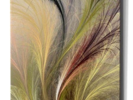 Fountain Grass I  by James Burghardt Giclee Canvas Wall Art Supply