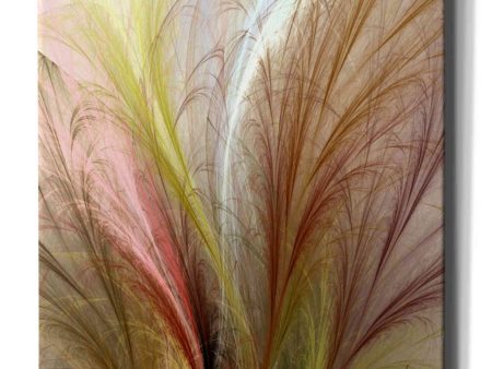 Fountain Grass II  by James Burghardt Giclee Canvas Wall Art Discount