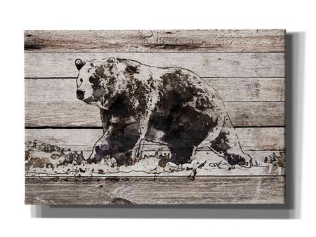 Black Bear 1  by Irena Orlov, Canvas Wall Art Cheap