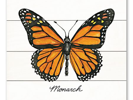 CIN3733PAL - Monarch - 12x12 on Sale