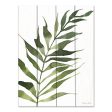 SB1106PAL - Fern 2  - 12x16 Online Hot Sale