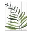 SB1105PAL - Fern 1  - 12x16 on Sale