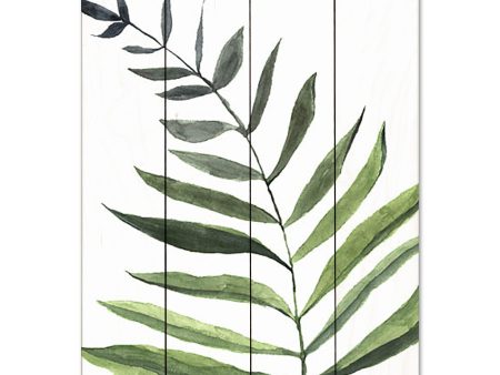 SB1105PAL - Fern 1  - 12x16 on Sale