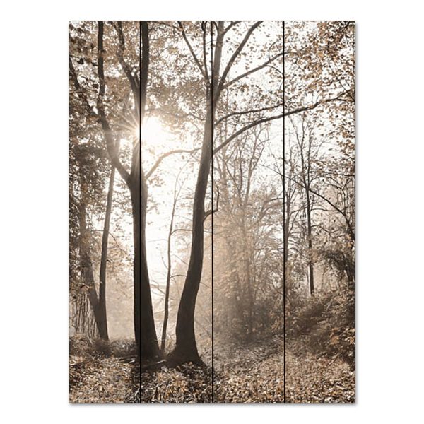 LD3064PAL - Woodland Sunrise - 12x16 Online Hot Sale