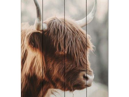 DAK136PAL - Highland Pose - 12x16 Sale